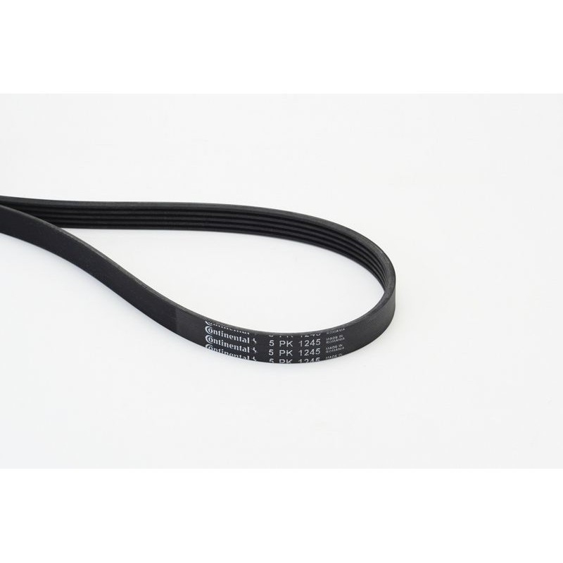 CONTINENTAL CTAM 5PK1245 Correa trapecial poli V