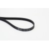 CONTINENTAL CTAM 5PK1245 Correa trapecial poli V
