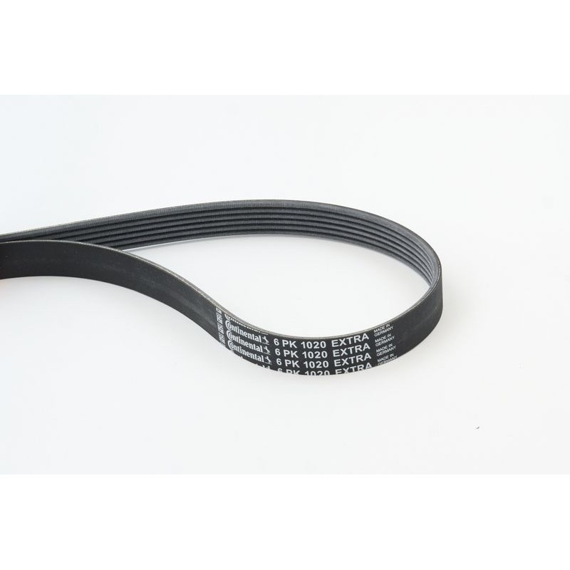 CONTINENTAL CTAM 6PK1020 EXTRA Correa trapecial poli V