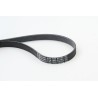 CONTINENTAL CTAM 6PK1020 EXTRA Correa trapecial poli V