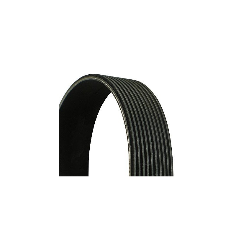 CONTINENTAL CTAM 10PK2337 Correa trapecial poli V