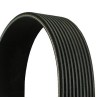 CONTINENTAL CTAM 10PK2337 Correa trapecial poli V