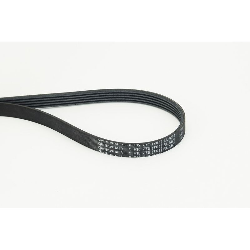 CONTINENTAL CTAM 5PK775 ELAST Correa trapecial poli V