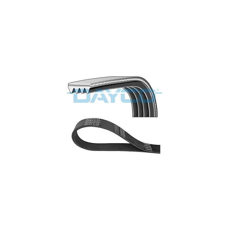 DAYCO 4PK805 Correa trapecial poli V