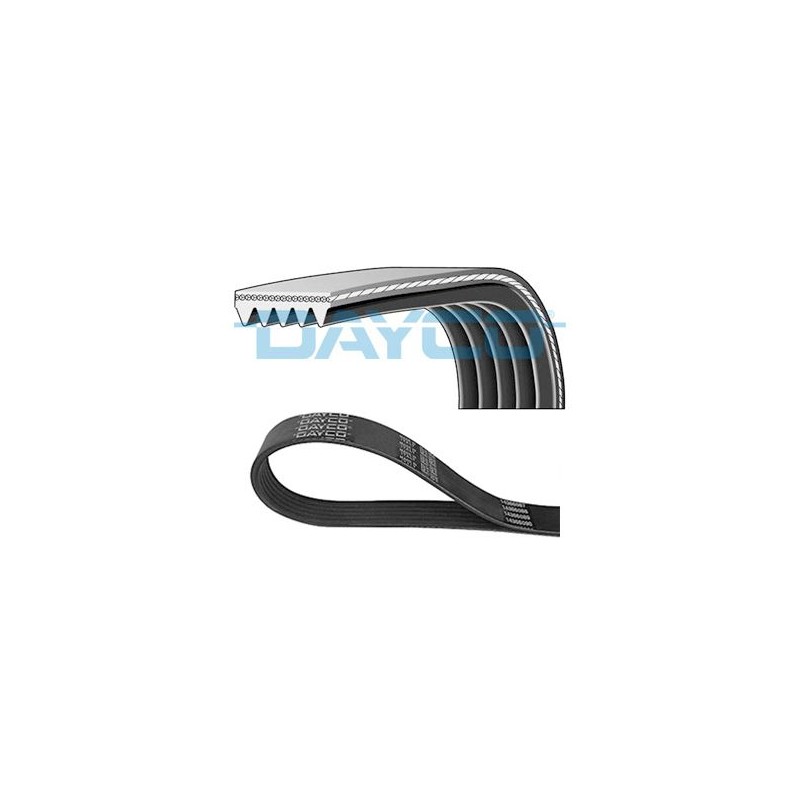DAYCO 5PK1125 Correa trapecial poli V