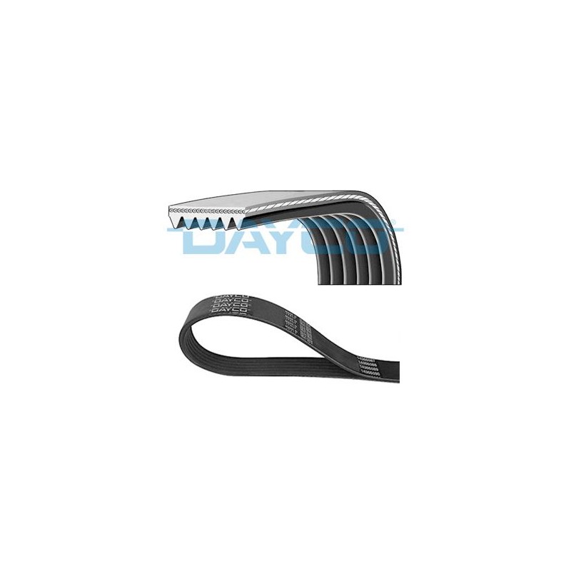 DAYCO 6PK1555 Correa trapecial poli V