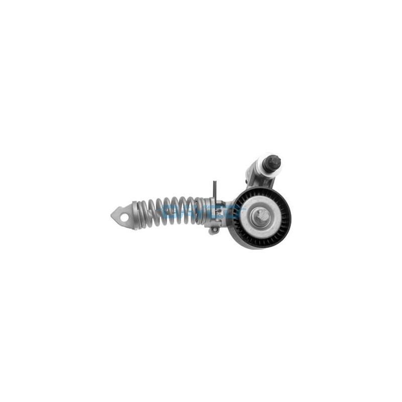 DAYCO APV2247 Tensor de correa, correa poli V