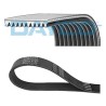 DAYCO 10PK1400HD Correa trapecial poli V