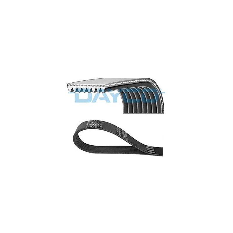 DAYCO 8PK1970HD Correa trapecial poli V