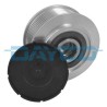 DAYCO ALP2406 Rueda libre alternador