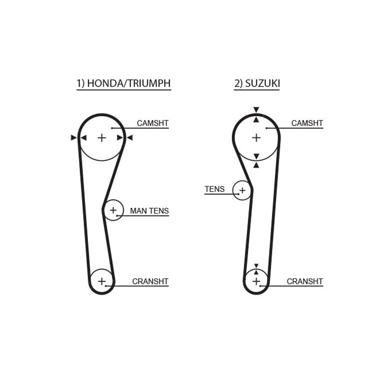 GATES 5019 Correa dentada