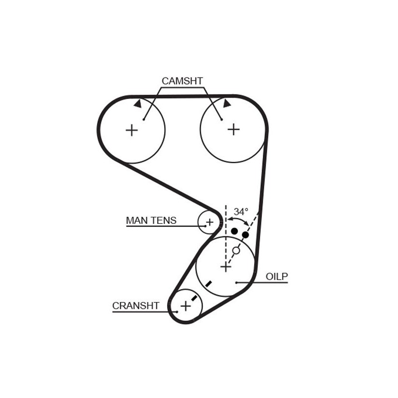 GATES 5022 Correa dentada