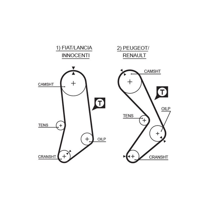 GATES 5033 Correa dentada