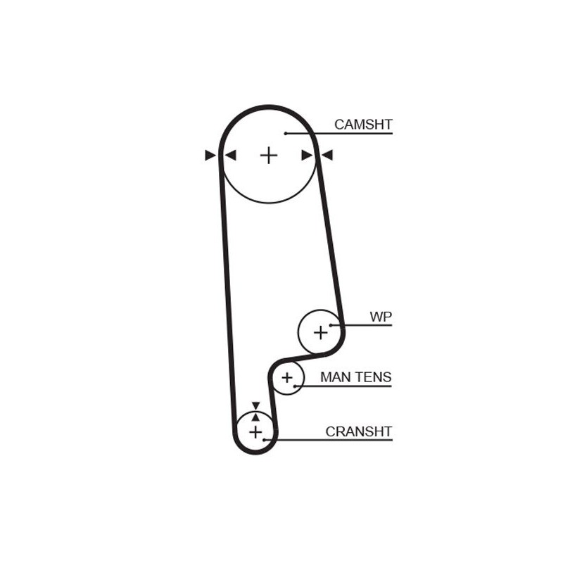GATES 5084XS Correa dentada