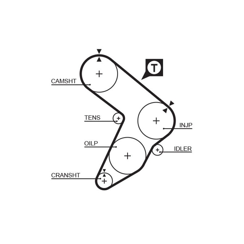 GATES 5087 Correa dentada