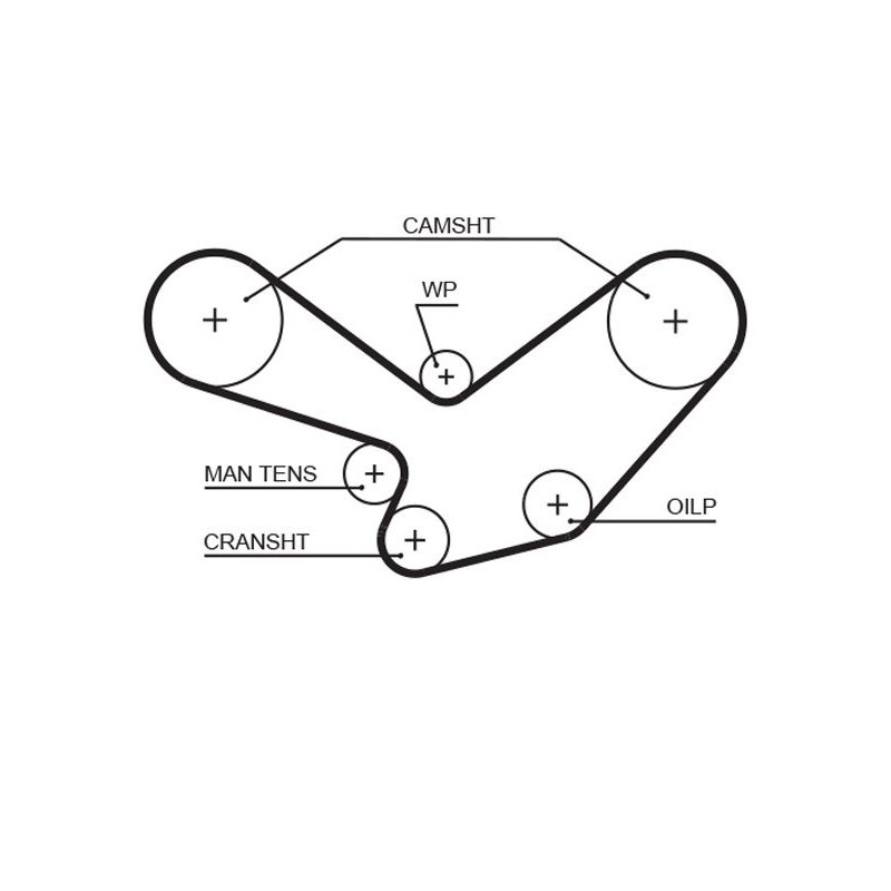 GATES 5098XS Correa dentada