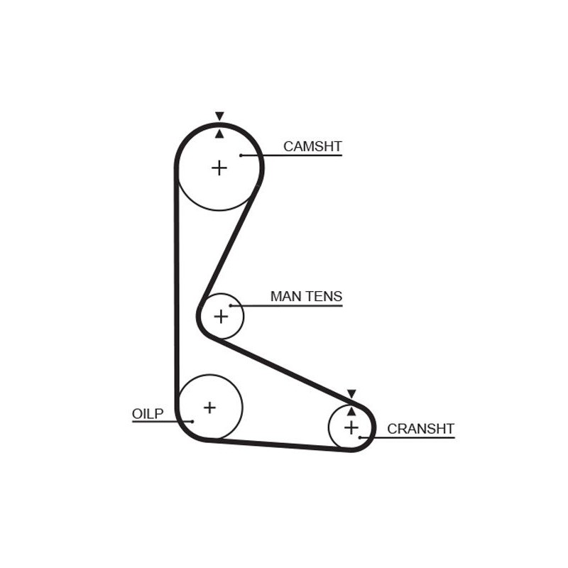 GATES 5103 Correa dentada