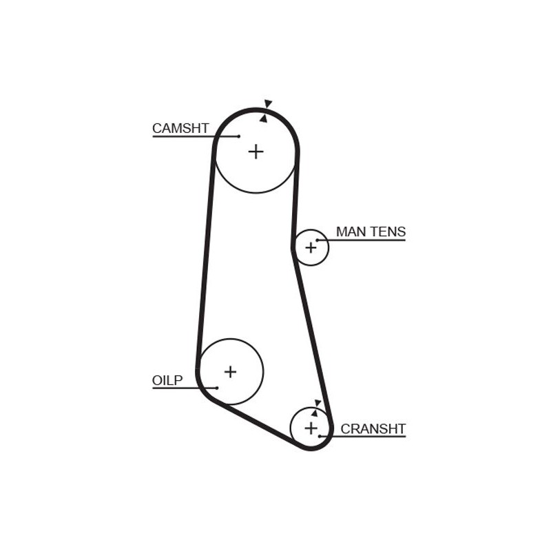 GATES 5185 Correa dentada