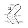 GATES 5193XS Correa dentada