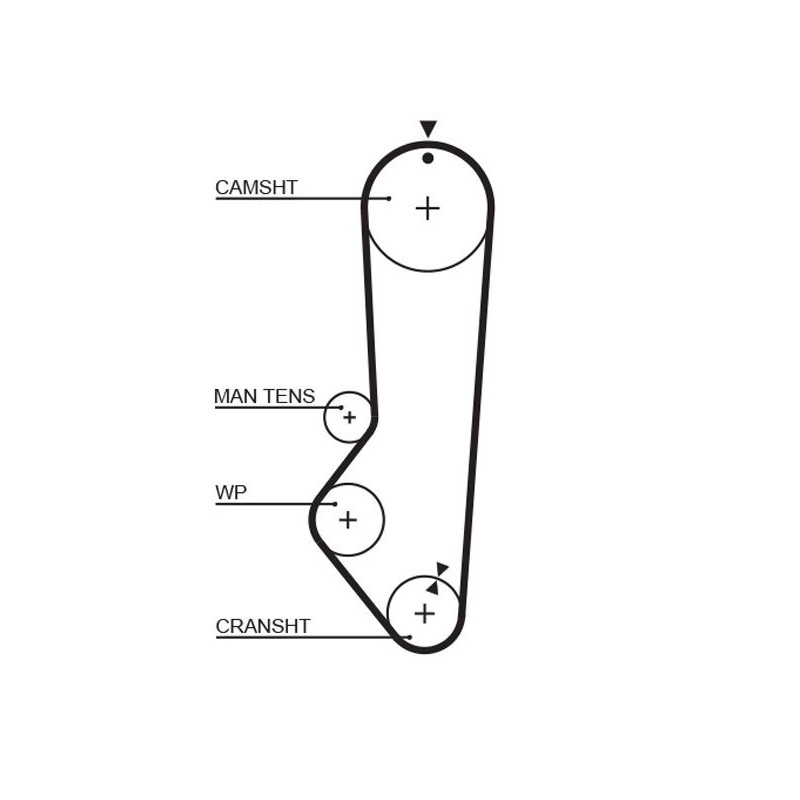 GATES 5224XS Correa dentada