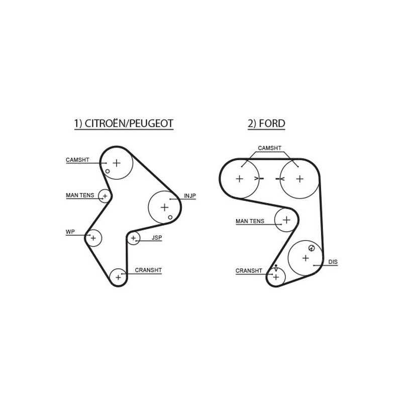GATES 5248XS Correa dentada