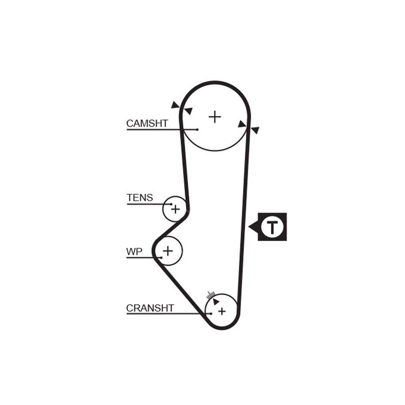 GATES 5253XS Correa dentada