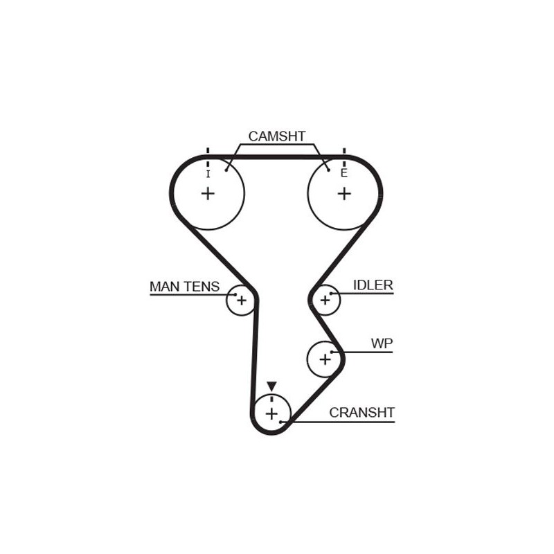 GATES 5287XS Correa dentada