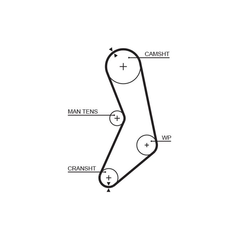 GATES 5288 Correa dentada