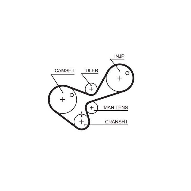 GATES 5306 Correa dentada
