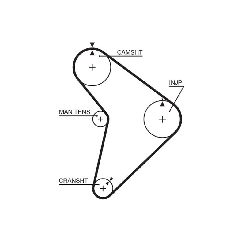 GATES 5307 Correa dentada