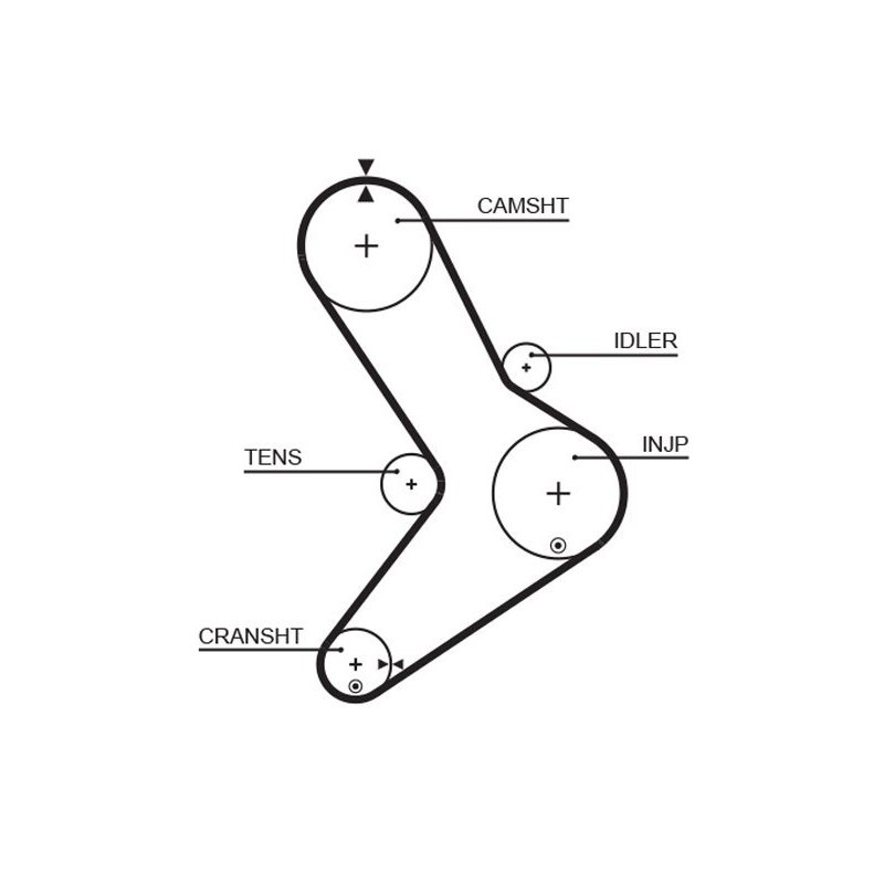 GATES 5334XS Correa dentada