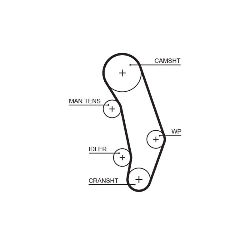 GATES 5346XS Correa dentada