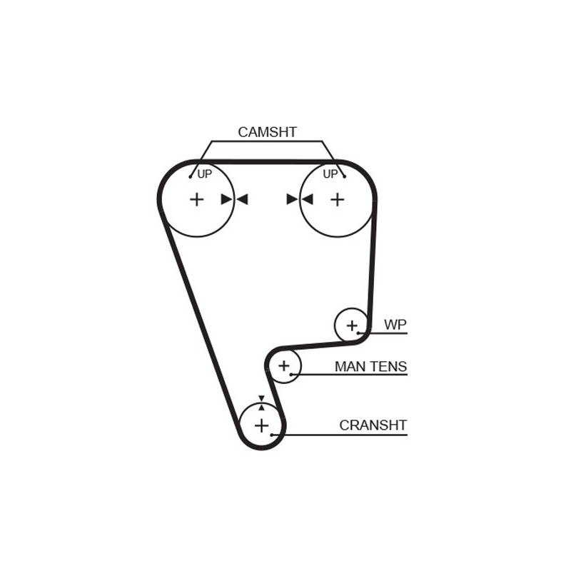 GATES 5348XS Correa dentada