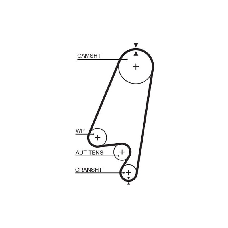 GATES 5367XS Correa dentada