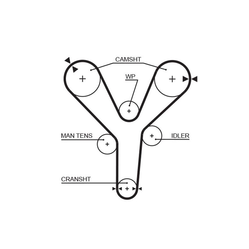 GATES 5377XS Correa dentada
