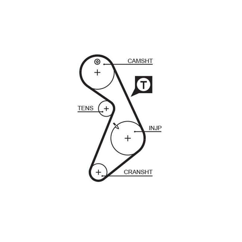 GATES 5395 Correa dentada