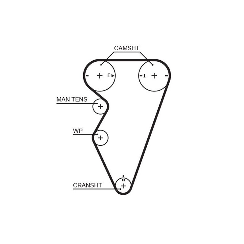 GATES 5416XS Correa dentada