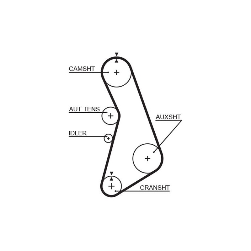 GATES 5425XS Correa dentada