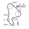 GATES 5523XS Correa dentada