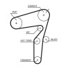 GATES 5623XS Correa dentada