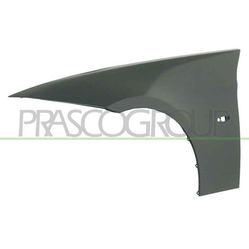 PRASCO BM0243014 Guardabarros Delante, izquierda