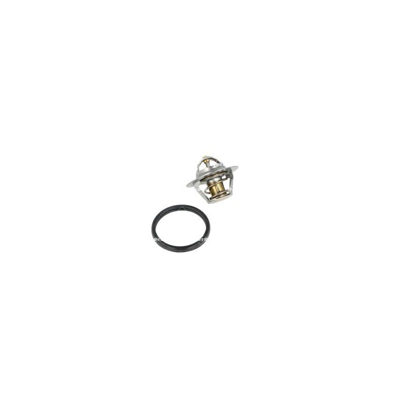 NRF 725064 Termostato, refrigerante
