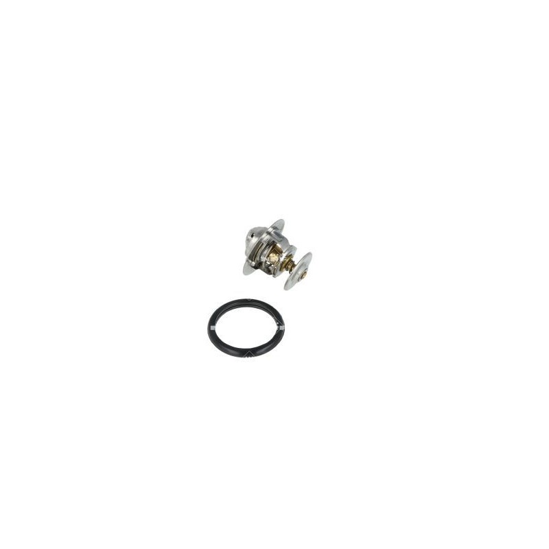 NRF 725206 Termostato, refrigerante