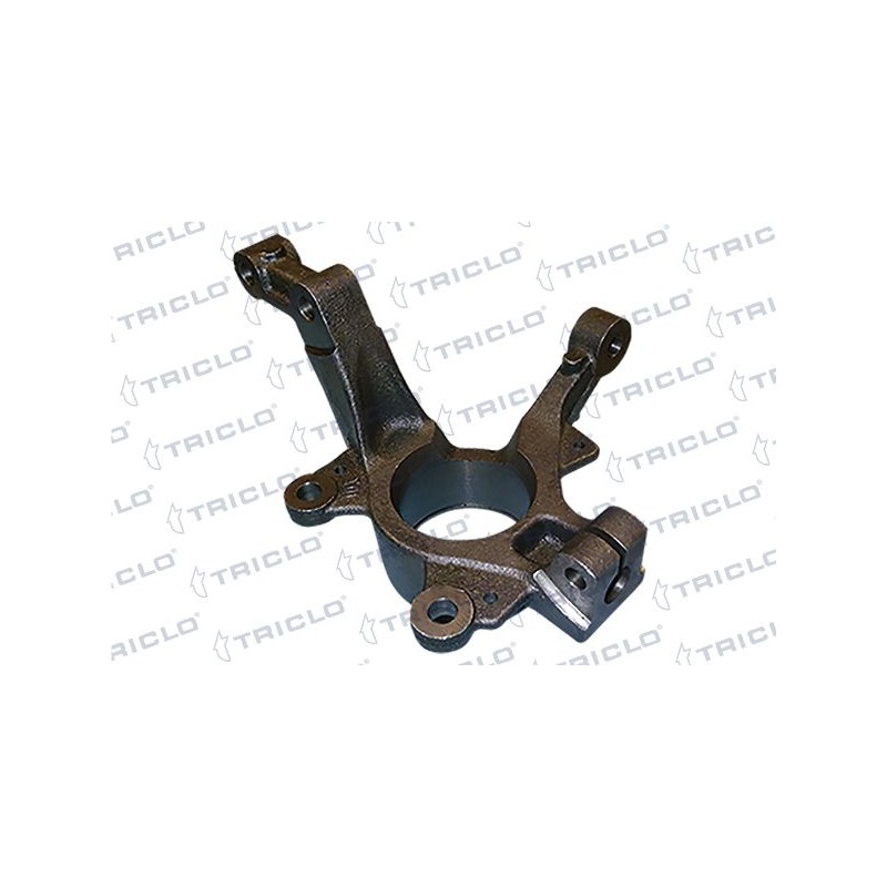 TRICLO 765766 Muñón del eje, suspensión de rueda Eje delantero, derecha
