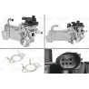 VALEO 700436 Módulo EGR