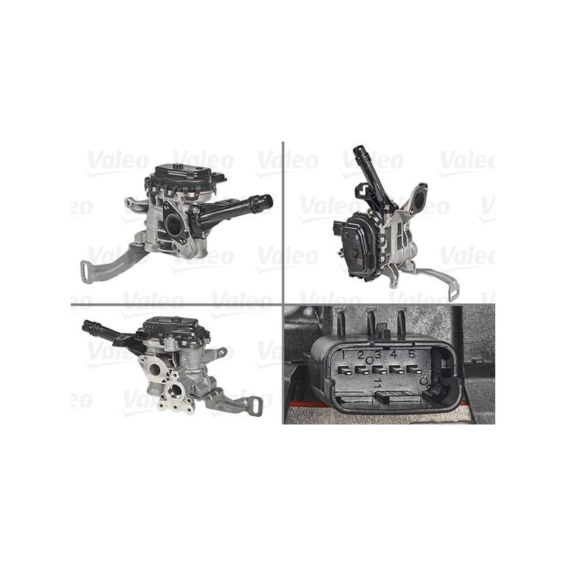 VALEO 700455 Válvula EGR