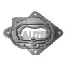 CAUTEX 957002 Brida, carburador