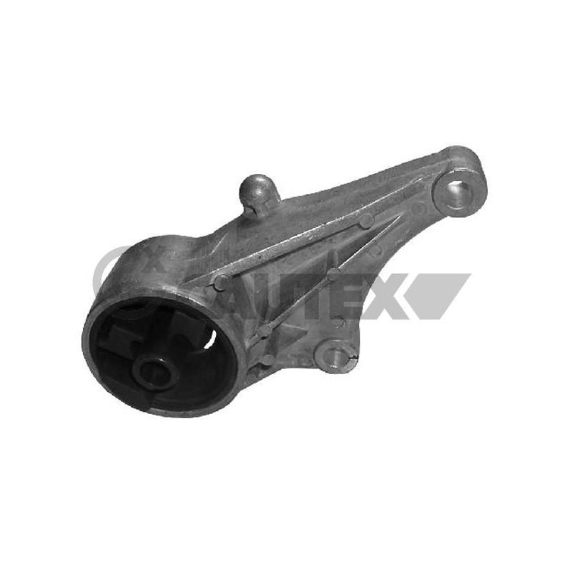 CAUTEX 480477 Soporte, motor