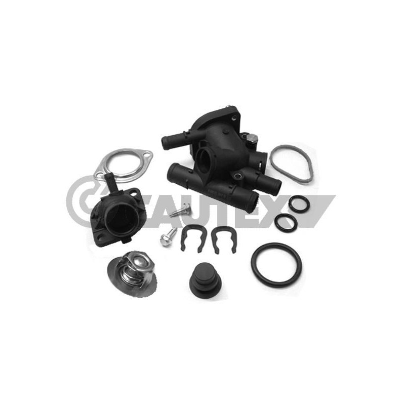 CAUTEX 952142 Termostato, refrigerante