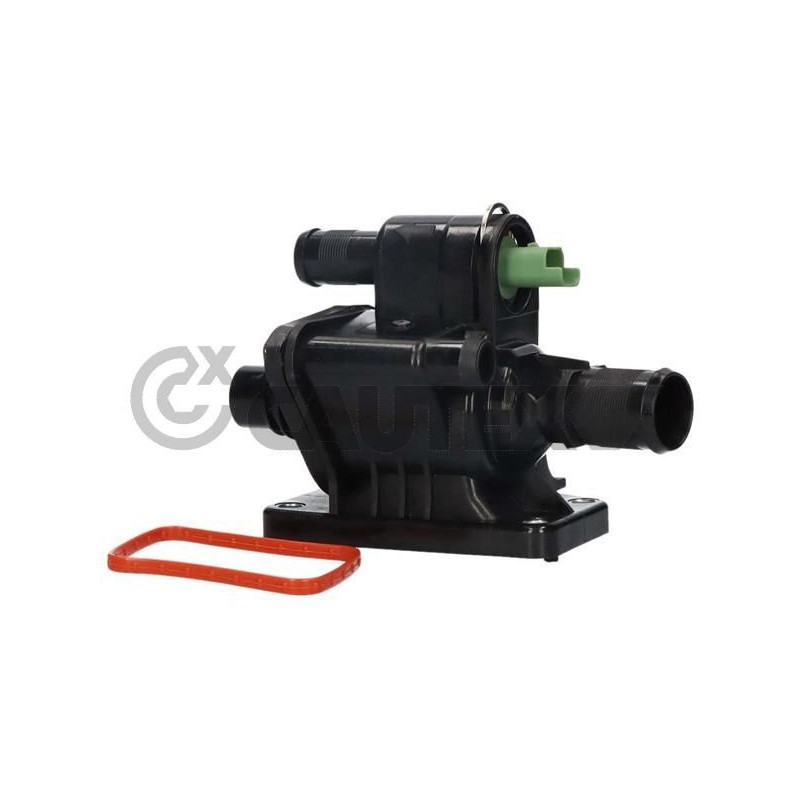CAUTEX 955428 Termostato, refrigerante